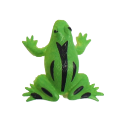 Mini Frog – Staccato exercises